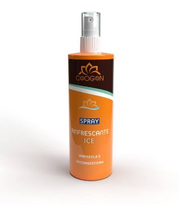 ICE Erfrischungsspray vampyy.shop