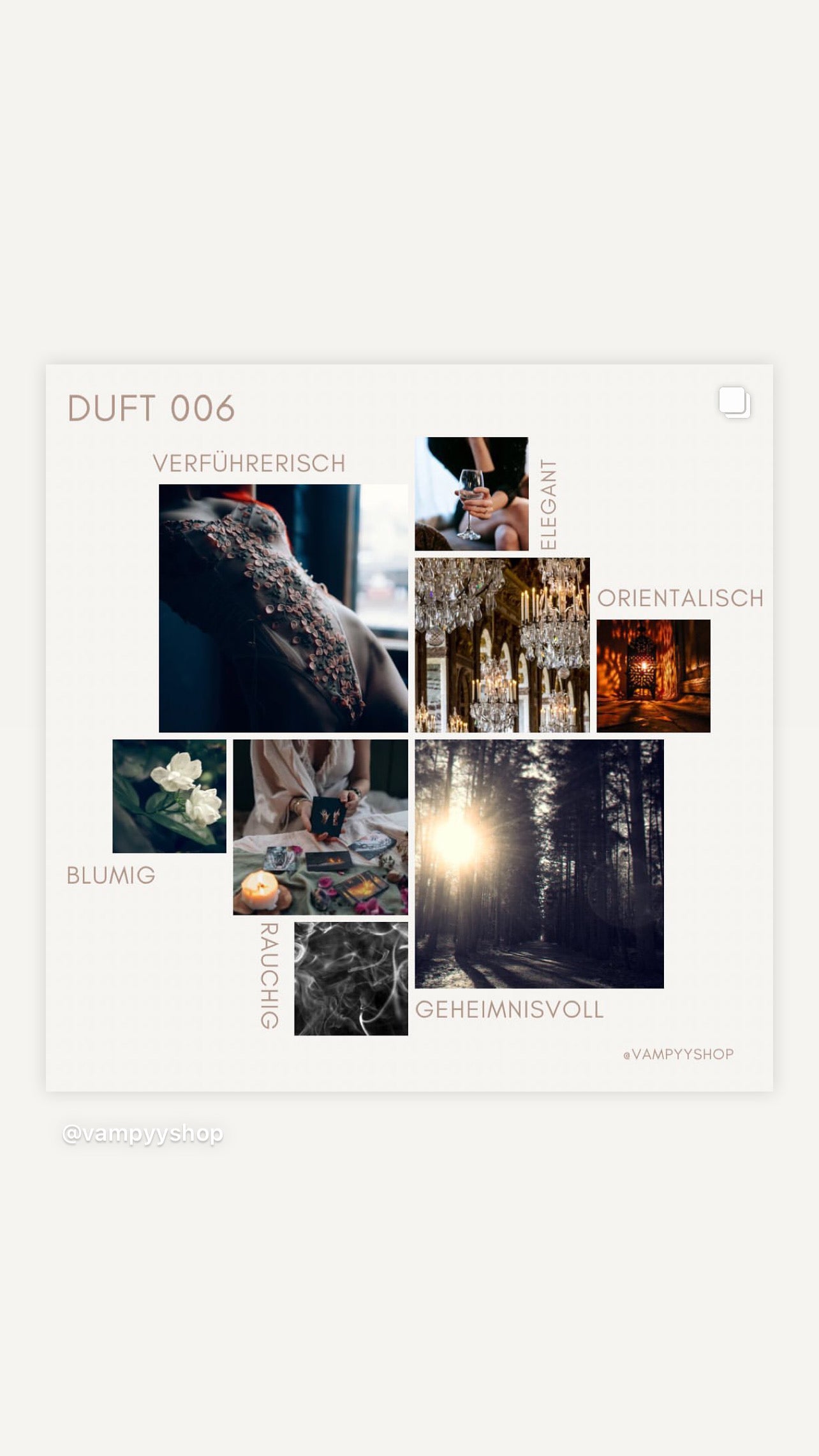 Duschgel mit Duft Nr. 006 vampyy.shop