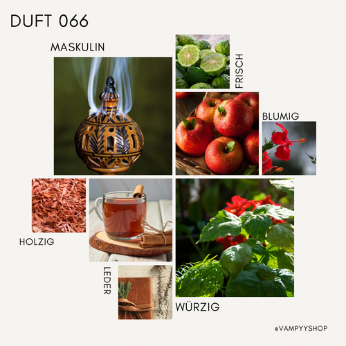 Nr. 066 - HERRENPARFÜM MIT 30% ESSENZ - PARFÜMEXTRAKT vampyy.shop