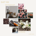 Duschgel mit Duft Nr. 105 vampyy.shop