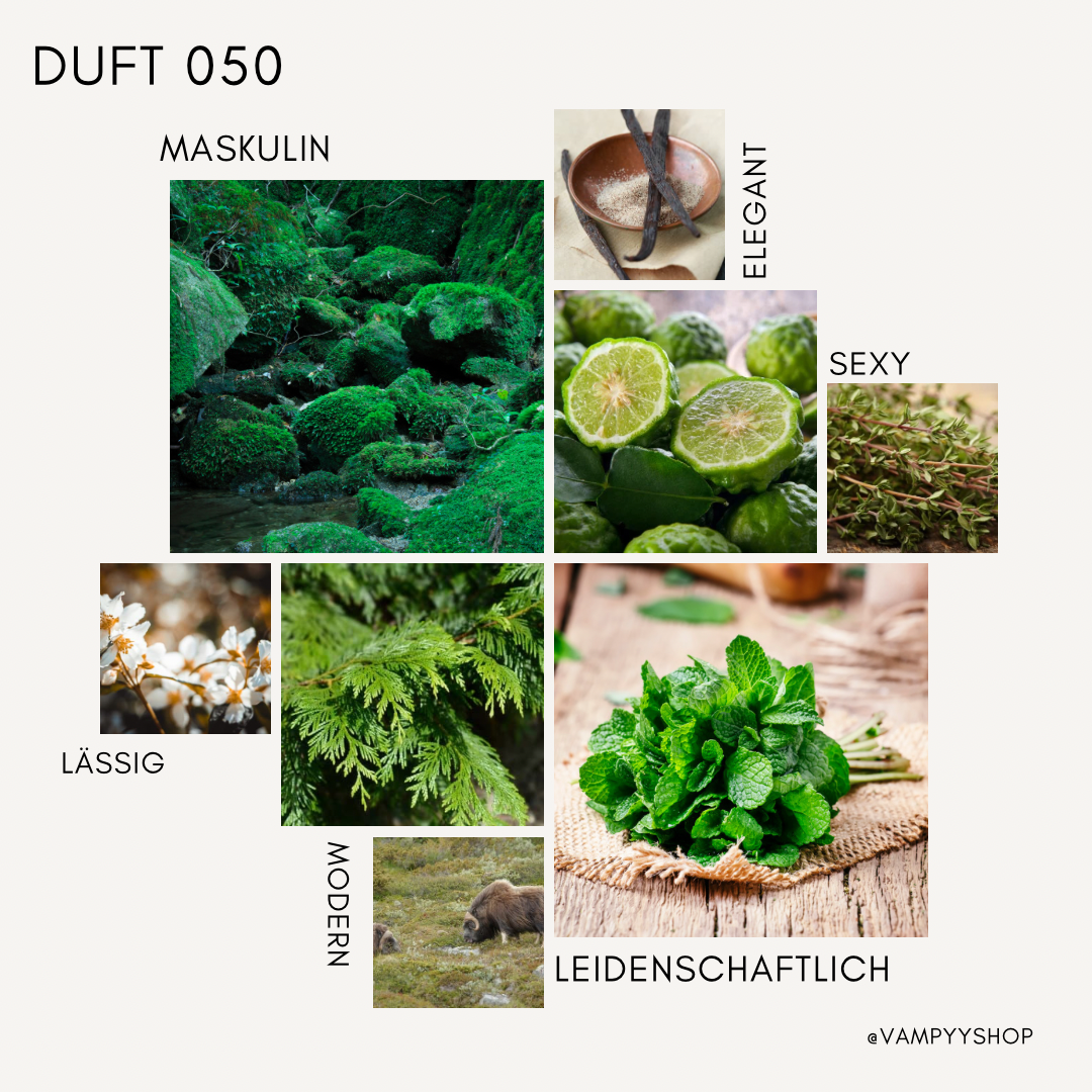 Nr. 050 - HERRENPARFÜM MIT 30% ESSENZ - PARFÜMEXTRAKT vampyy.shop