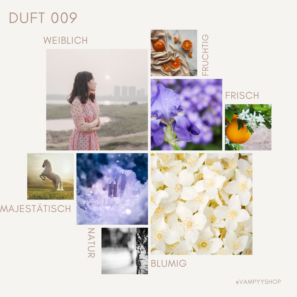 Nr. 009 - DAMENPARFÜM MIT 30% ESSENZ - PARFÜMEXTRAKT vampyy.shop