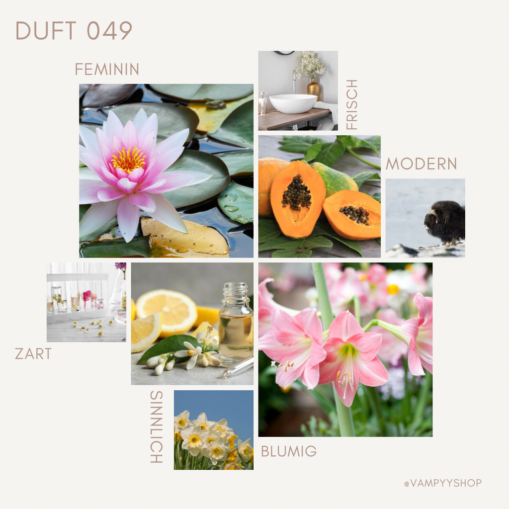 Duschgel mit Duft Nr. 049 vampyy.shop