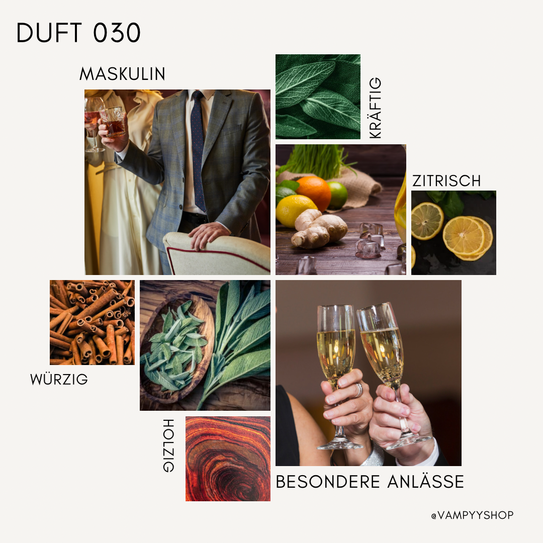 Nr. 030 - HERRENPARFÜM MIT 30% ESSENZ - PARFÜMEXTRAKT vampyy.shop