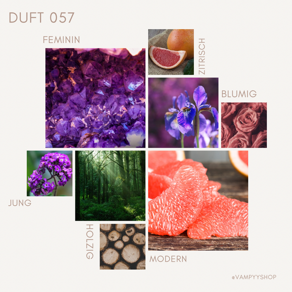 Duschgel mit Duft Nr. 057 vampyy.shop