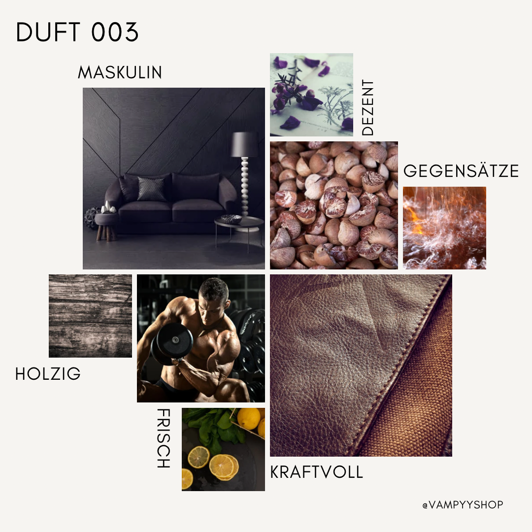 Nr. 003 - HERRENPARFÜM MIT 30% ESSENZ - PARFÜMEXTRAKT vampyy.shop