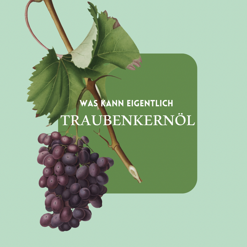 Reines Traubenkernöl vampyy.shop