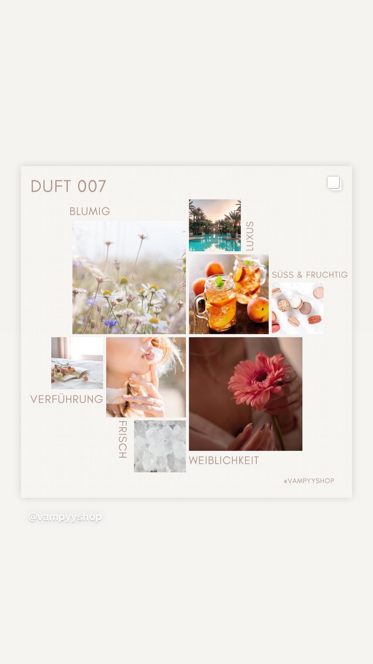 Duschgel mit Duft Nr. 007 vampyy.shop