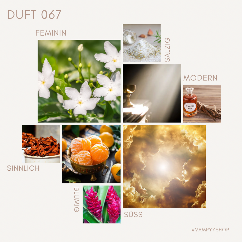 Duschgel mit Duft Nr. 067 vampyy.shop