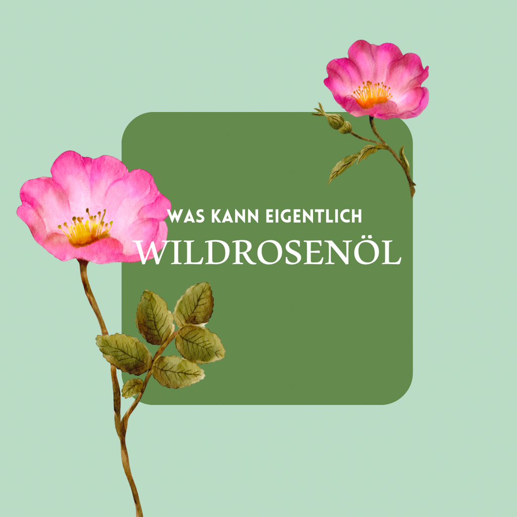 Wildrosenöl, 100% Naturrein vampyy.shop