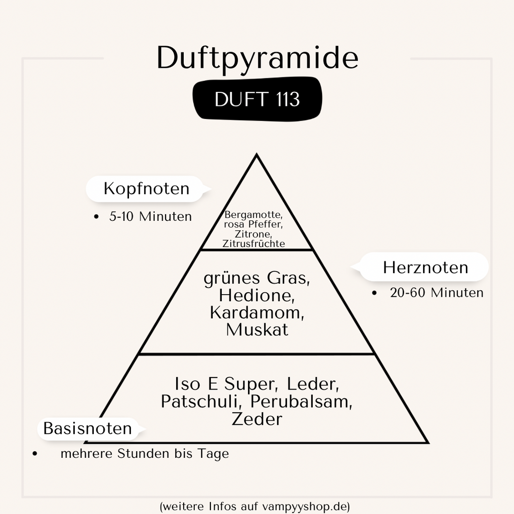 Nr. 113 - HERRENPARFÜM MIT 30% ESSENZ - PARFÜMEXTRAKT vampyy.shop