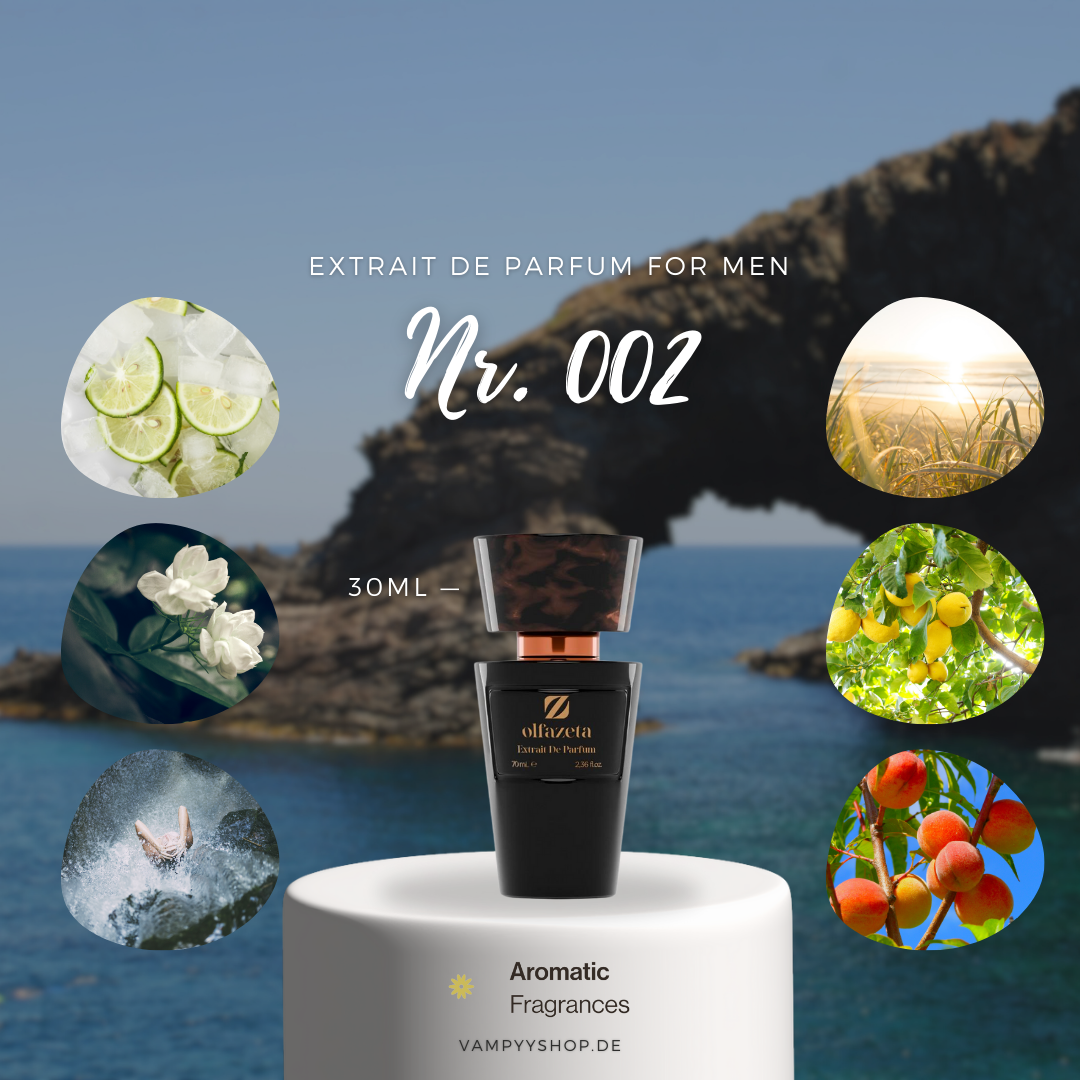 Nr. 002 - HERRENPARFÜM MIT 30% ESSENZ - PARFÜMEXTRAKT vampyy.shop