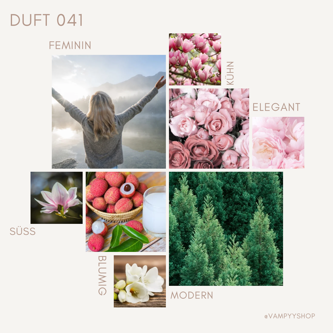 Duftende Körpercreme mit Arganöl Nr. 041 vampyy.shop