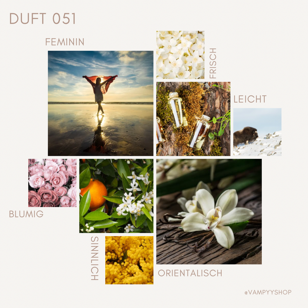 Duschgel mit Duft Nr. 051 vampyy.shop