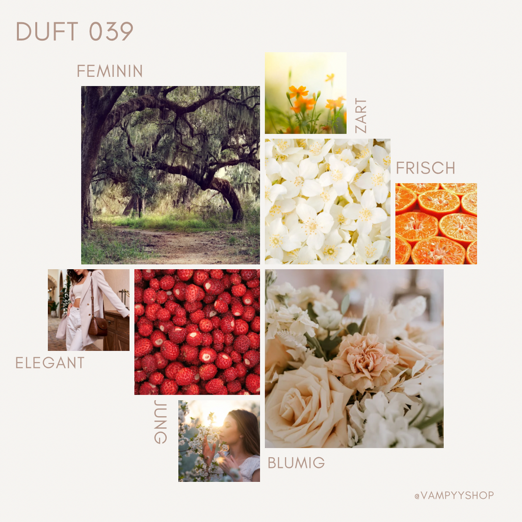 Duschgel mit Duft Nr. 039 vampyy.shop