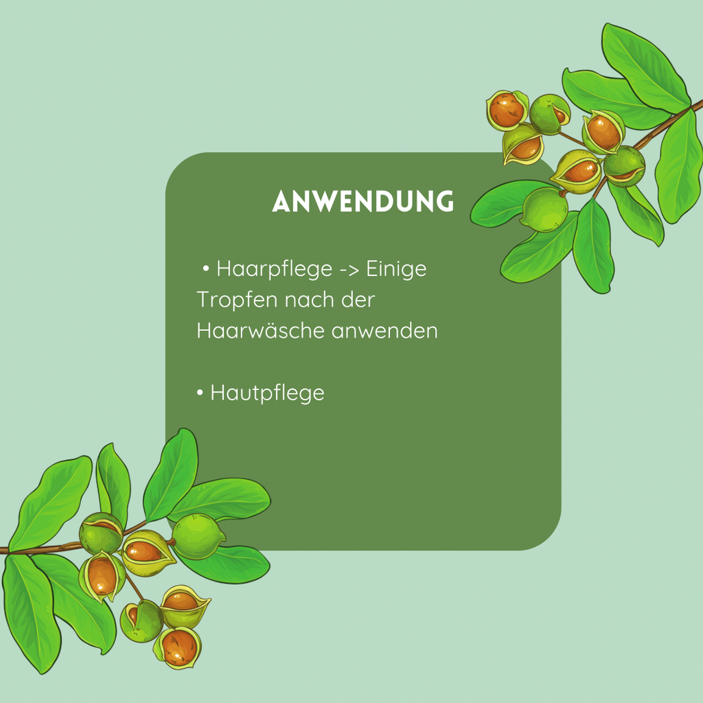 Macadamiaöl, 100% Naturrein vampyy.shop