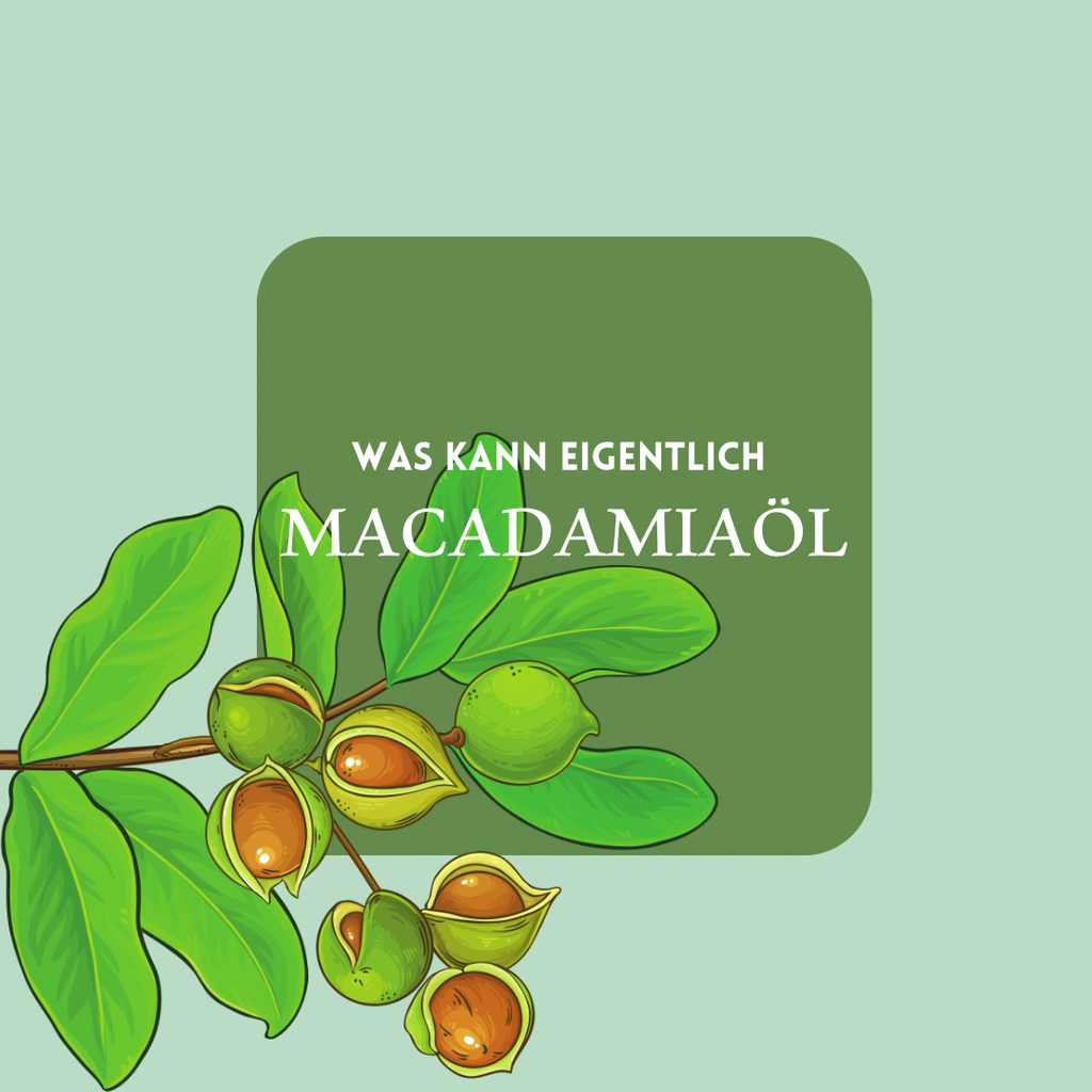 Macadamiaöl, 100% Naturrein vampyy.shop