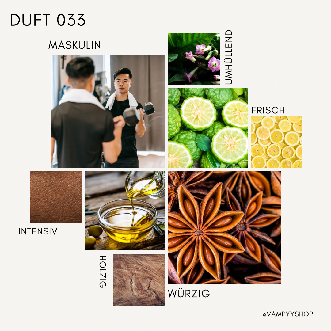 Nr. 033 - HERRENPARFÜM MIT 30% ESSENZ - PARFÜMEXTRAKT vampyy.shop