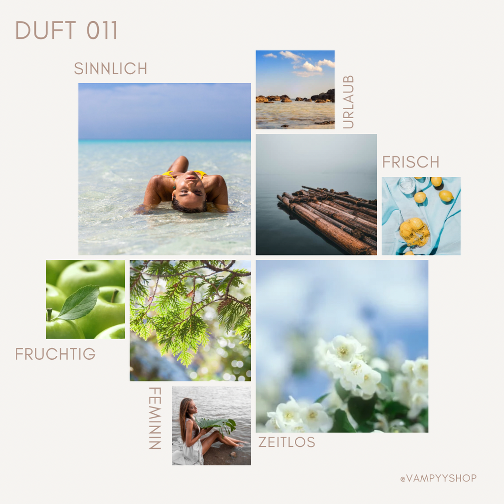 Duschgel mit Duft Nr. 011 vampyy.shop