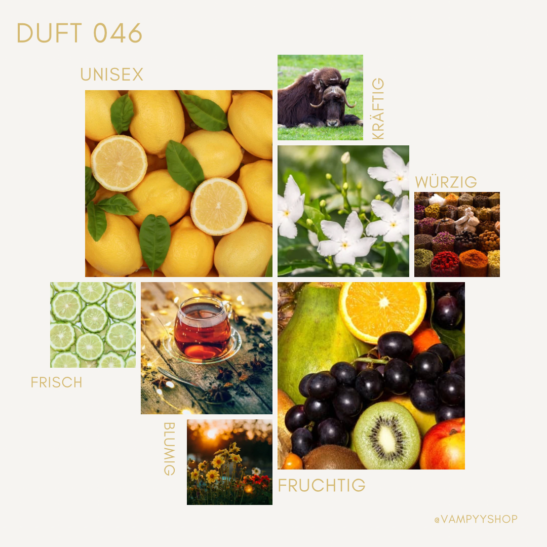 Duschgel mit Duft Nr. 046 vampyy.shop