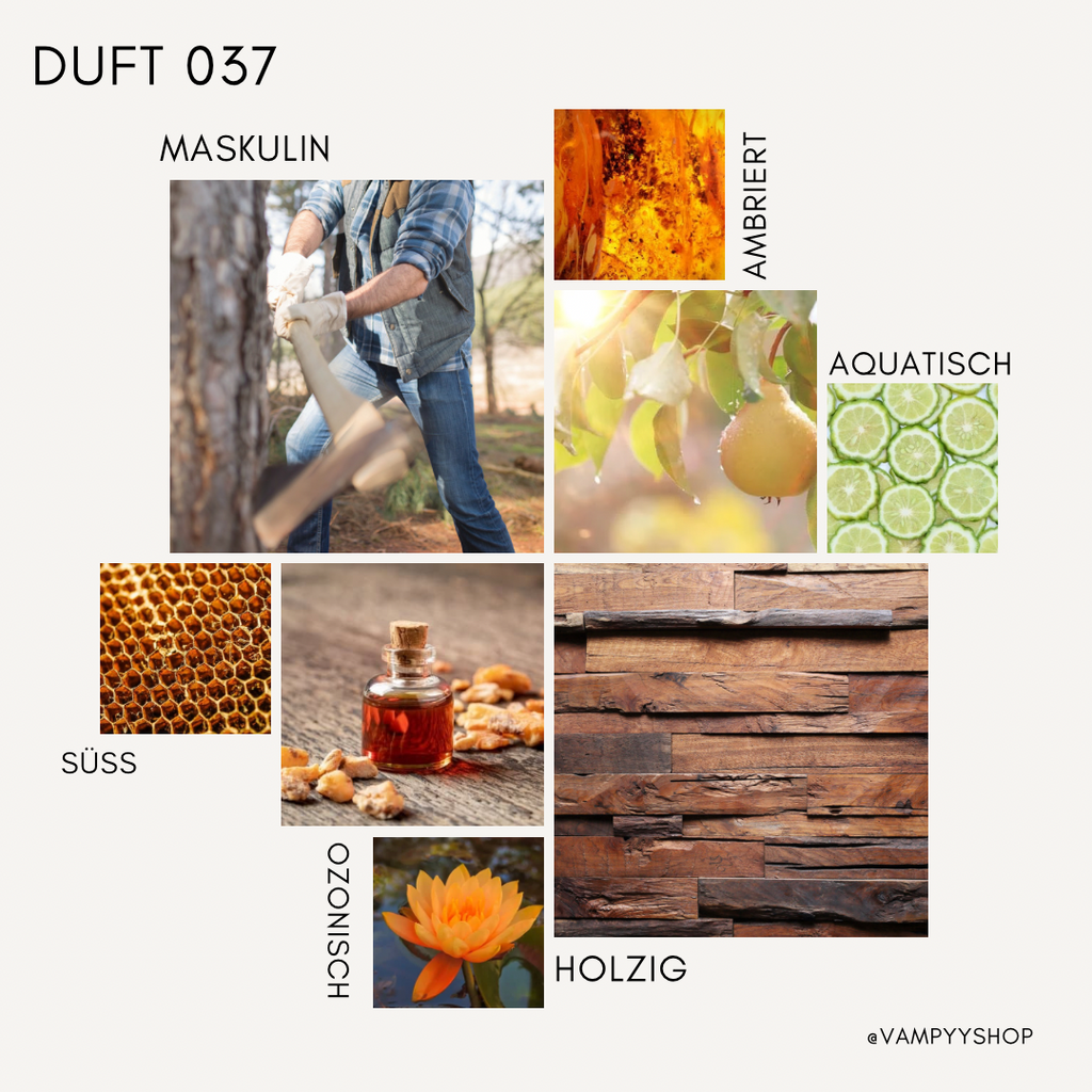 Duschgel mit Duft Nr. 037 vampyy.shop