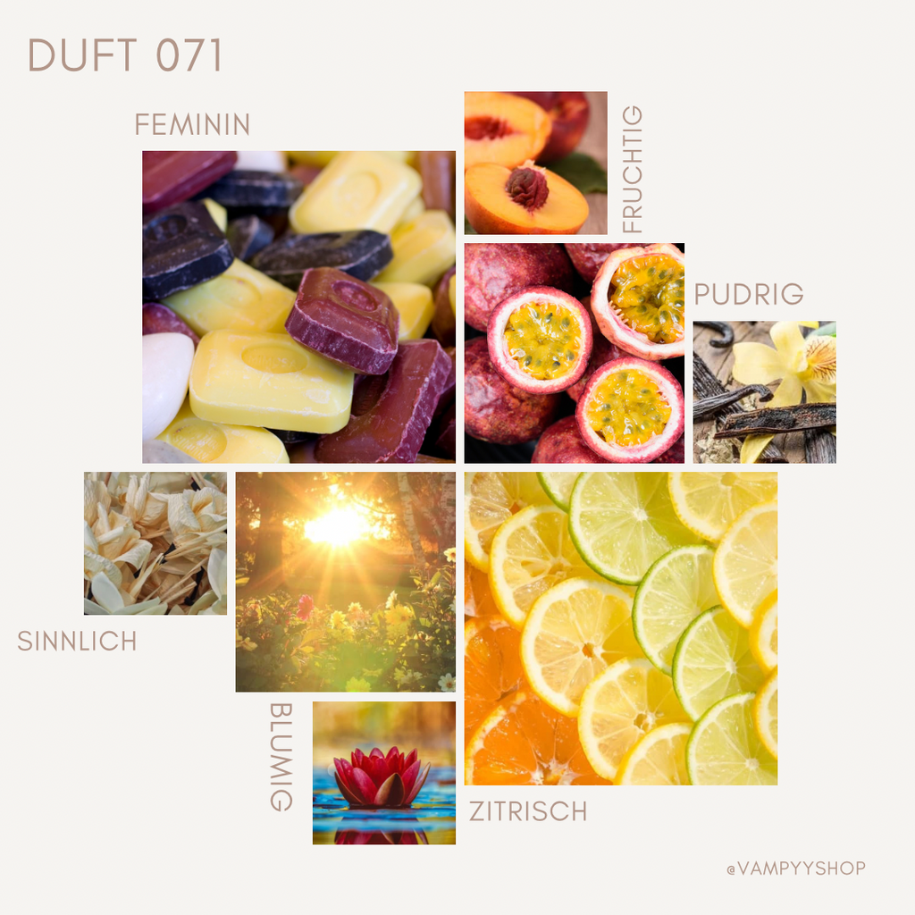 Duschgel mit Duft Nr. 071 vampyy.shop