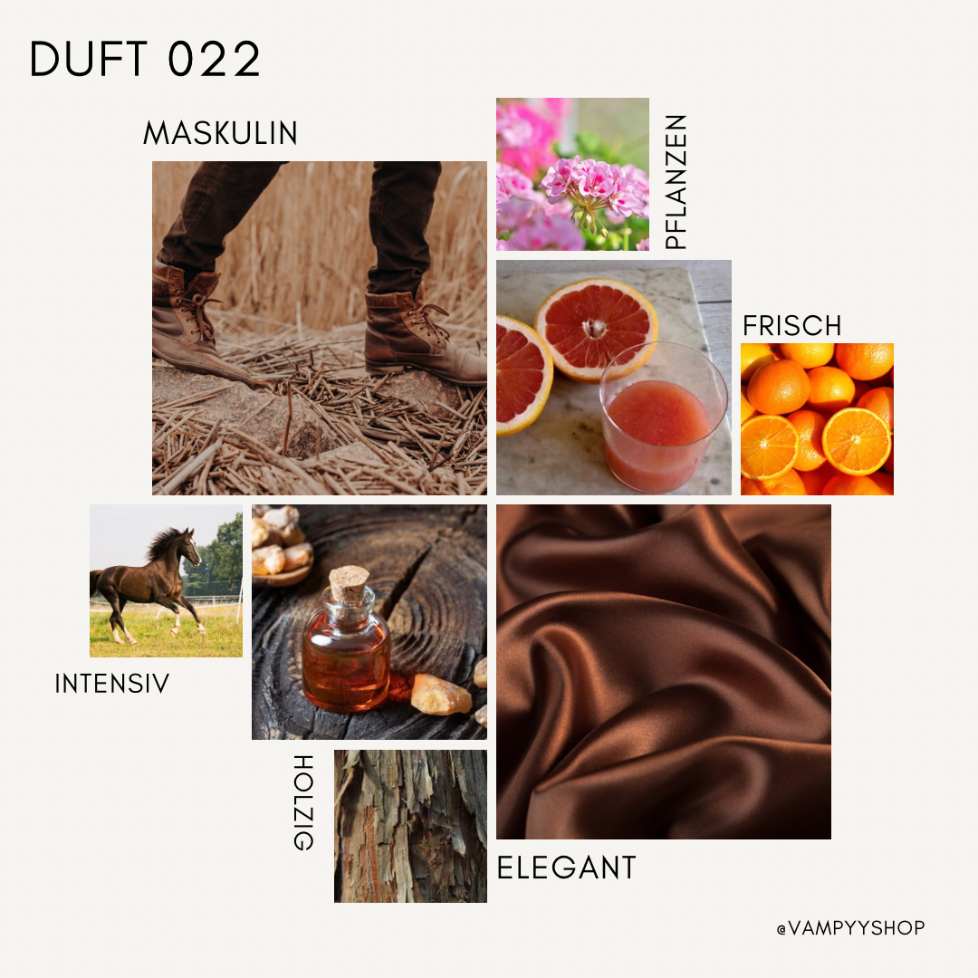 Nr. 022 - HERRENPARFÜM MIT 30% ESSENZ - PARFÜMEXTRAKT vampyy.shop