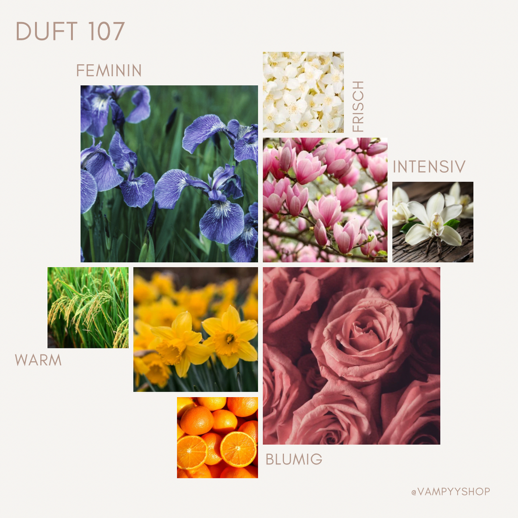 Nr. 107 - DAMENPARFÜM MIT 30% ESSENZ - PARFÜMEXTRAKT vampyy.shop
