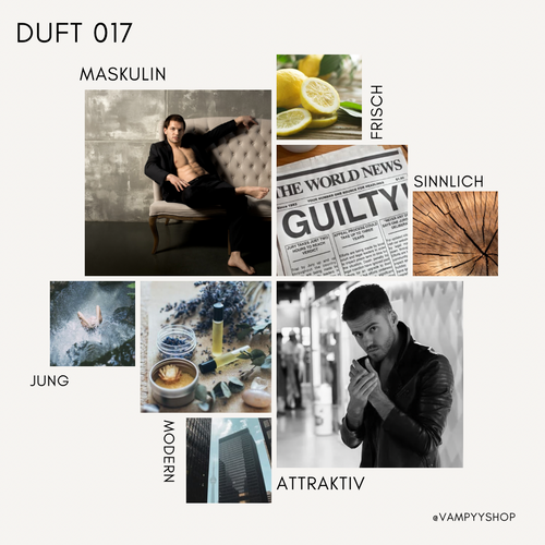 Nr. 017 - HERRENPARFÜM MIT 30% ESSENZ - PARFÜMEXTRAKT vampyy.shop