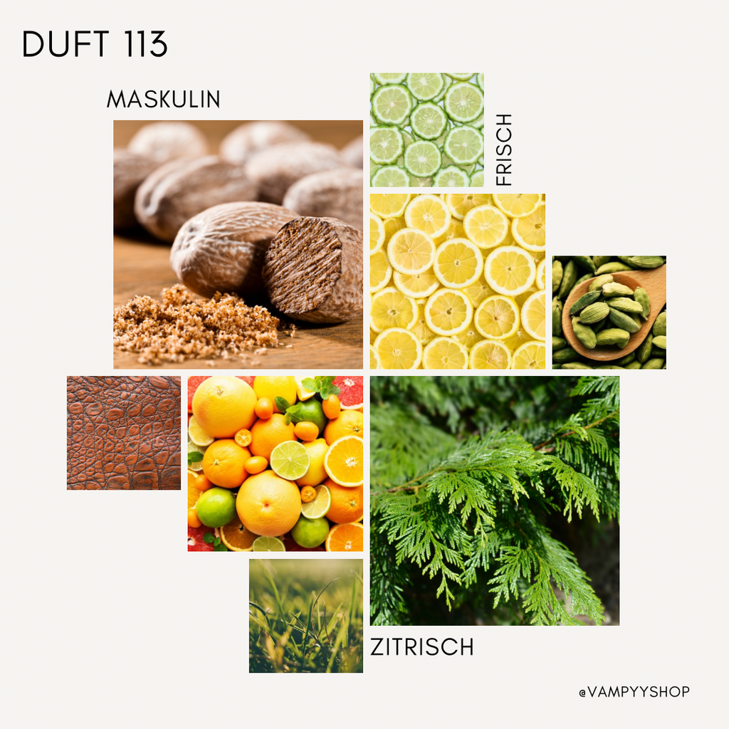 Nr. 113 - HERRENPARFÜM MIT 30% ESSENZ - PARFÜMEXTRAKT vampyy.shop