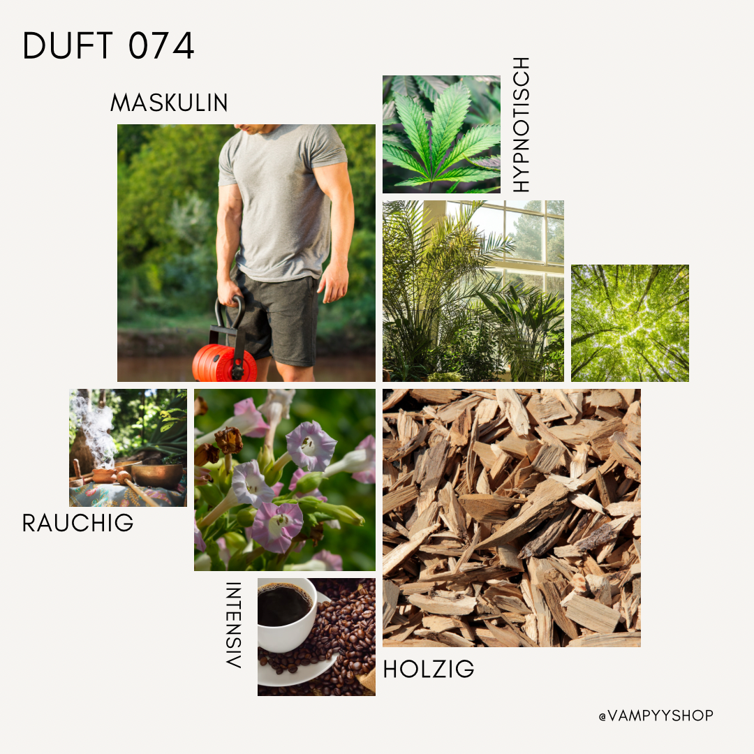 LUXURY Nr. 074 - HERRENPARFÜM MIT 30% ESSENZ - PARFÜMEXTRAKT vampyy.shop